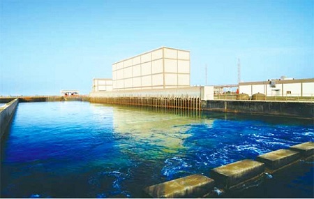 沙特拉比格海水淡化橡膠接頭 沙特拉比格海水淡化橡膠接頭